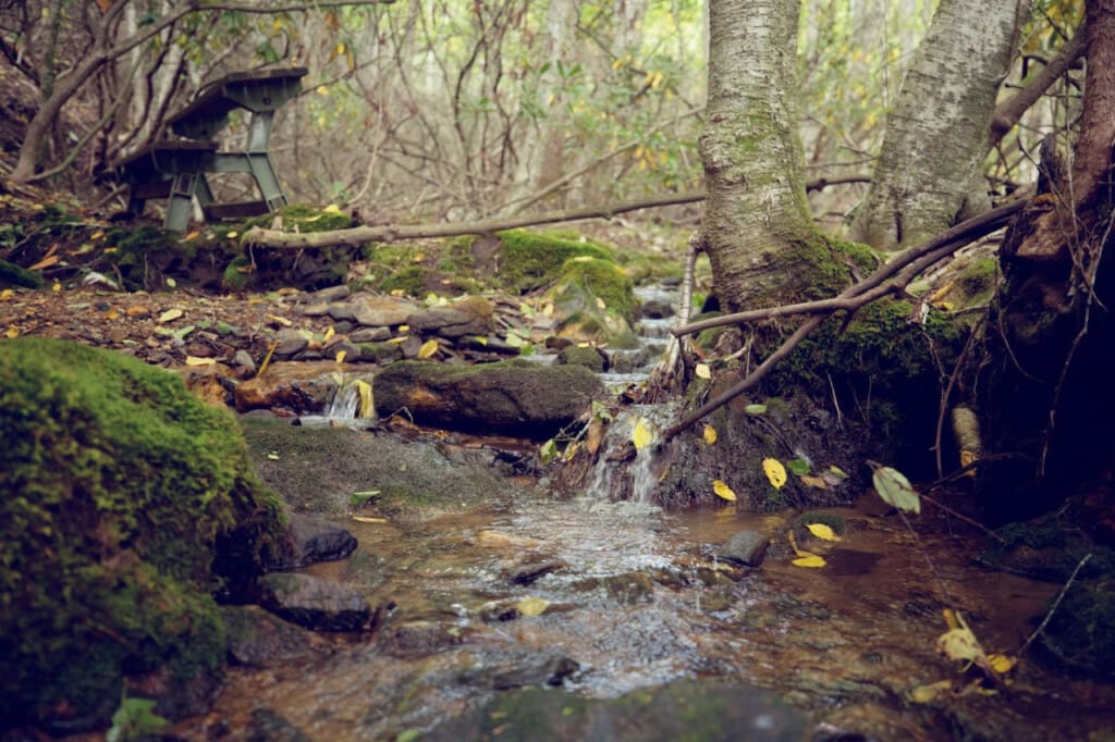 98800 275969 Ep 2MPHb49079Jt1qHzVOP8WXul00c91UQ96iLleCw 6654f08abc7b1.jpg