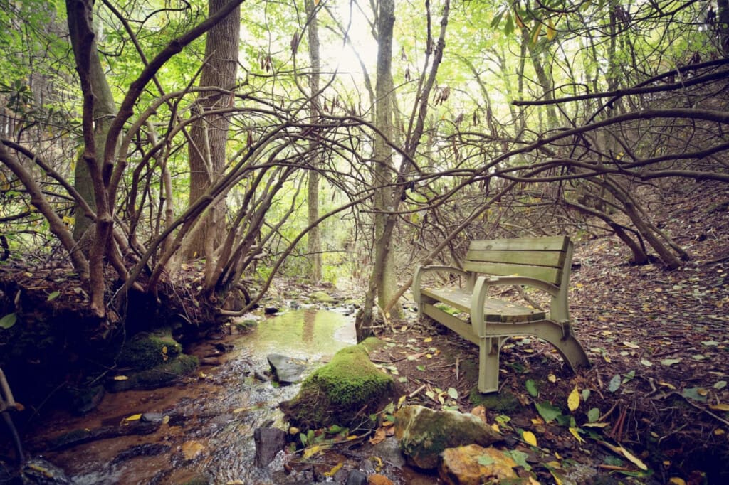 98800 275969 10YeB4sJKnct4oPTz2nwz1g2bgL1r6AOUirz7jbWPC0 6654f089535e0.jpg