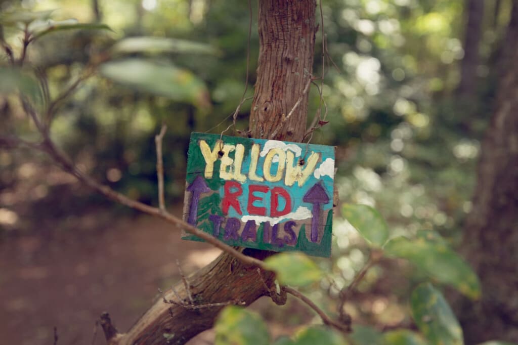 98800 275969 6foL1t6H5kX9HRJ2OzSebdIW4 5A7Etj4hOhhkeoOYg 6654f08c19810.jpg