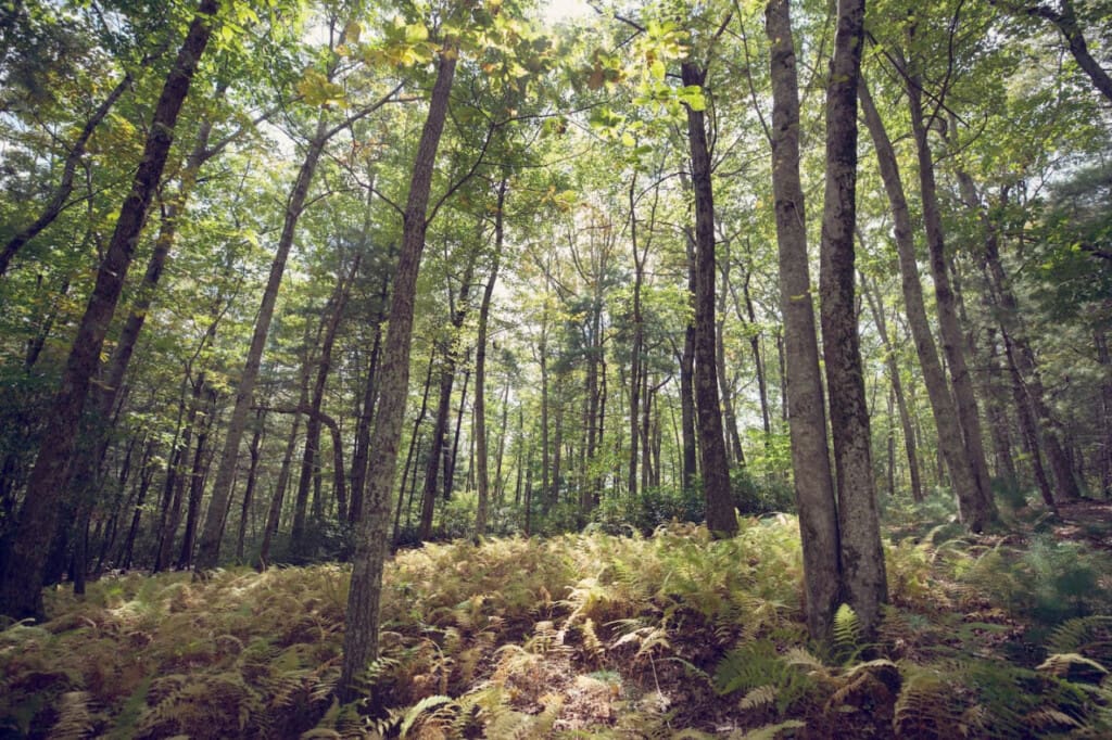 98800 275969 KKb3zG9gscbN9dsTby PKKrUIkyBtEmuf3QJE2oEgdI 6654f08806cd2.jpg