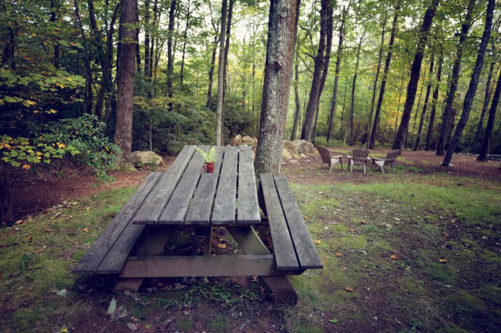 98800 275969 k4n8Wxm 0k3vejLAl8GeFJXIt2SLQpLv8MGB0GP5IPI 6654f091aabbc.jpg