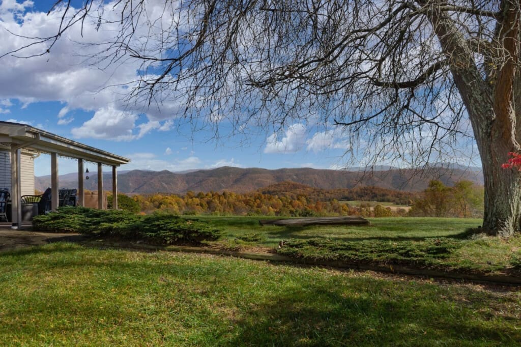 98800 275971 SDzMx8z1nRxasTe9WTN1UTZYdd1hKG8ma8gcLKgcpiQ 66552cad0e88c.jpg