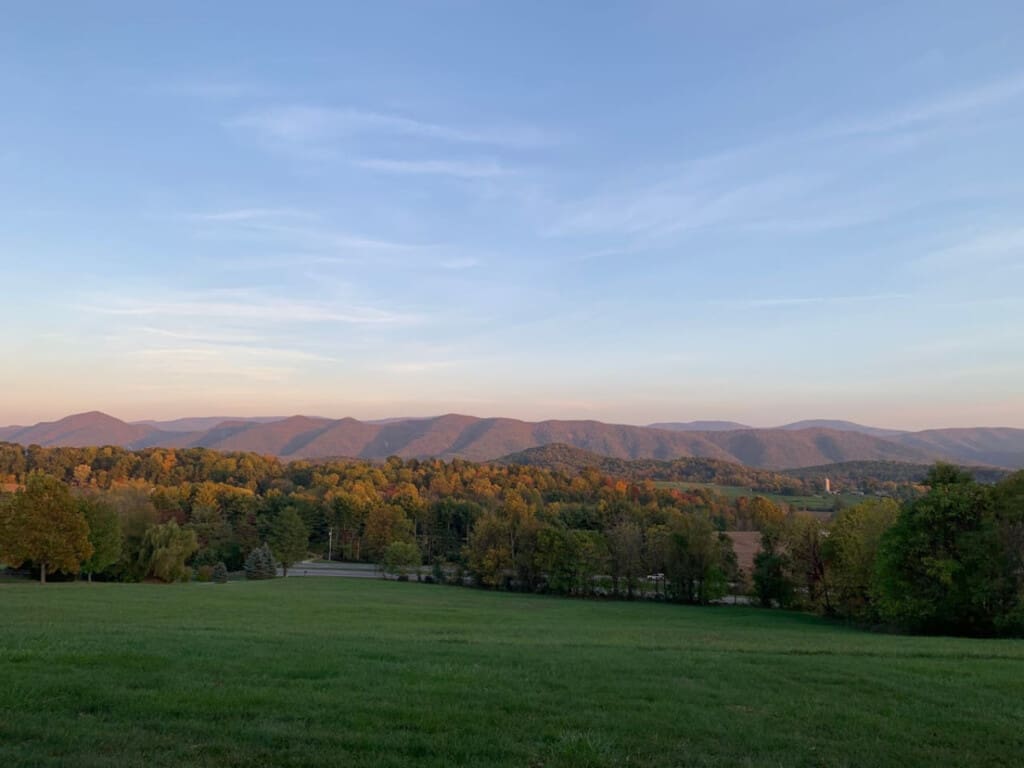 98800 275971 ipARA13RGkbCvCSV HCdWPhCTyO 0jgbvTLnG5luesg 66552cb280365.jpg