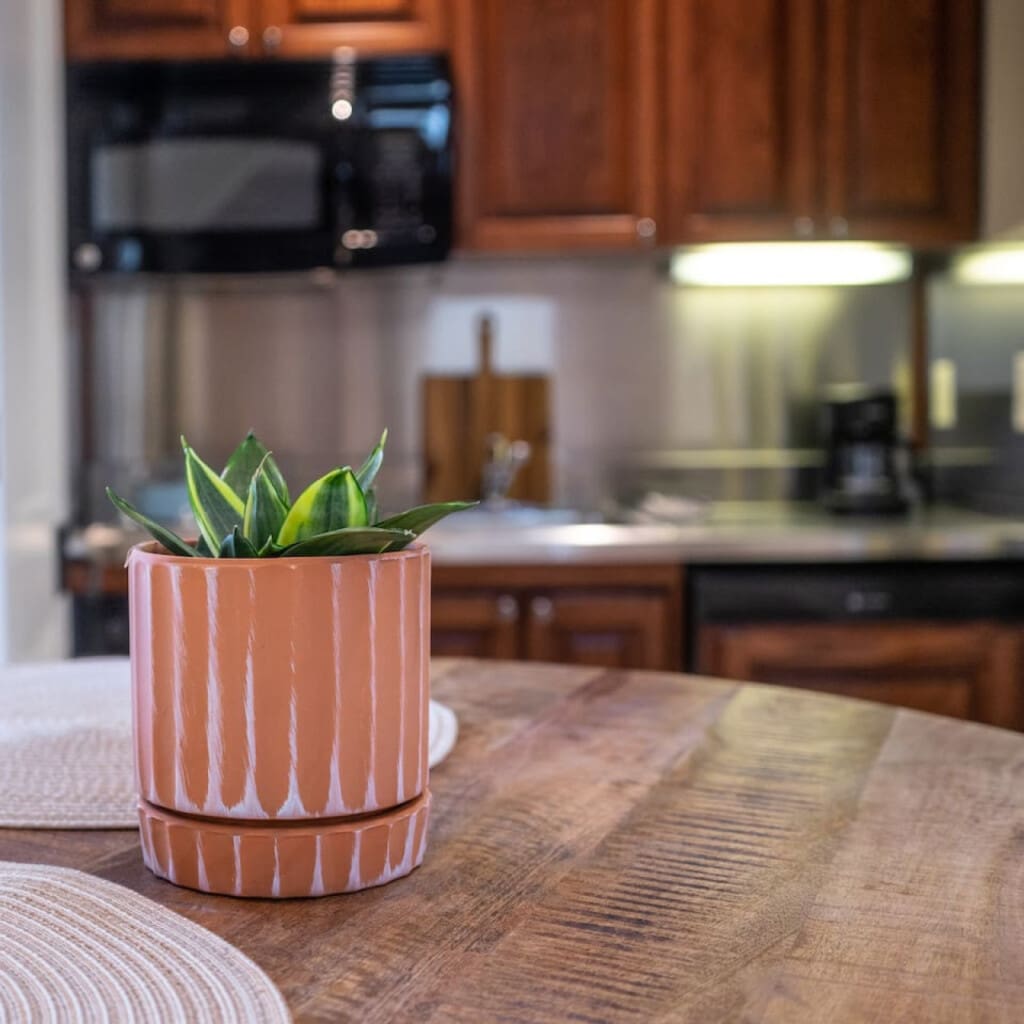 98800 277358 CrBQ9IiUcqJDUAEJTMRERK3Yc yafwfSckMH510po 6659f59eae269.jpg