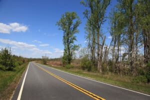 37372612565 6c004af263 b