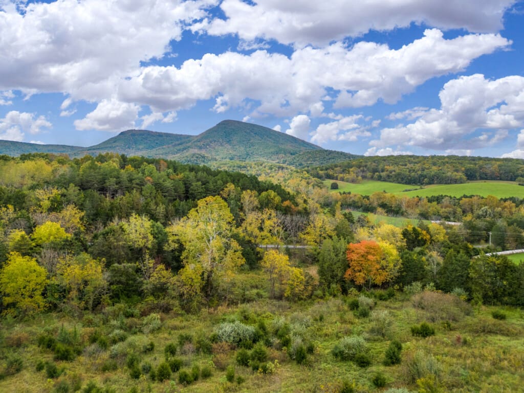 98800 308574 2PEIPnXeVnqp5xYqS9q8nGdQN8pxYcLDIFmWiwRCEh0 6717fade714c2.jpg