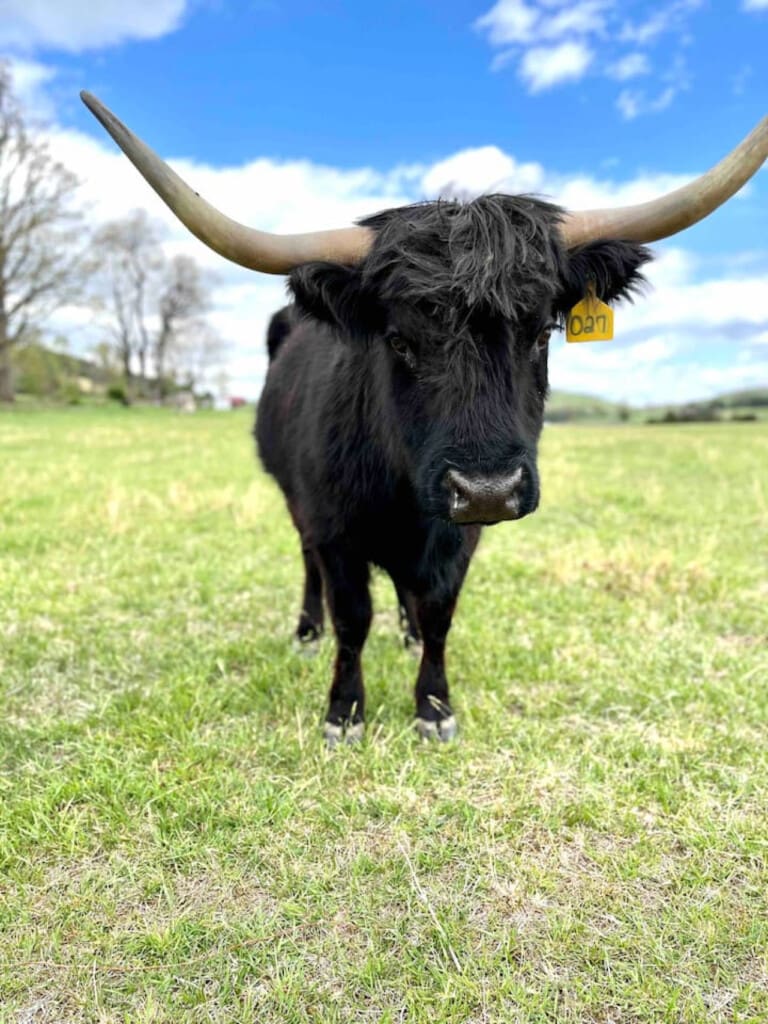 98800 276696 OzGkd67a3jvE6q20ruU5Hh7HyjAObMm03HC3YvcmldE 66579b4ab56f5.jpg