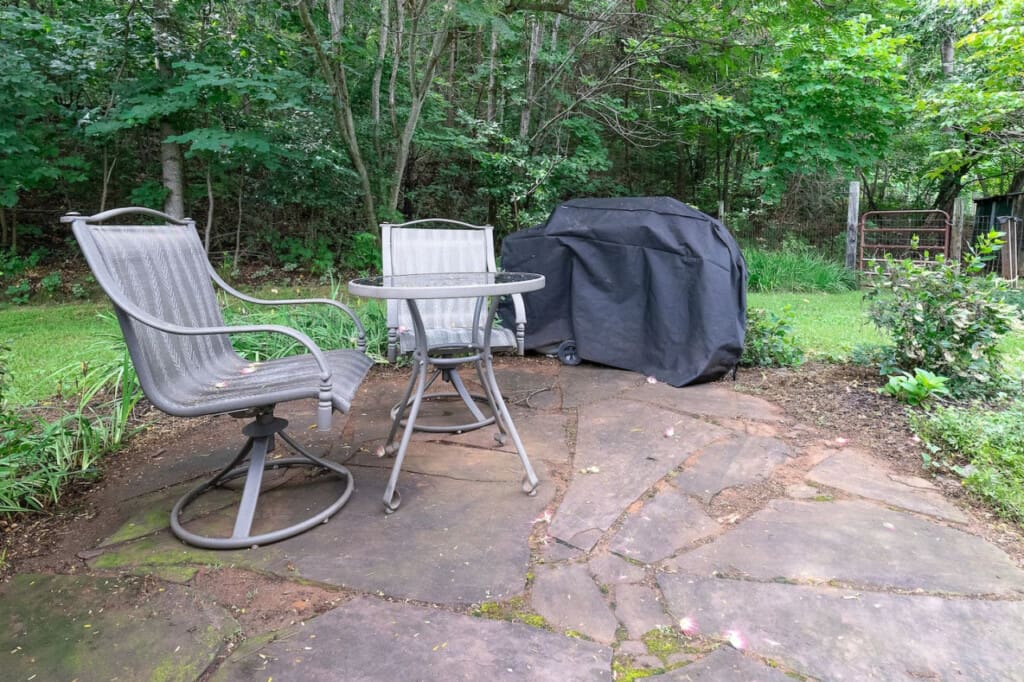 98800 276696 PJVCtUrfWgH2R2T8nncquz2uj v8sH4hsJFY6mlLmA4 66579b554f0eb.jpg