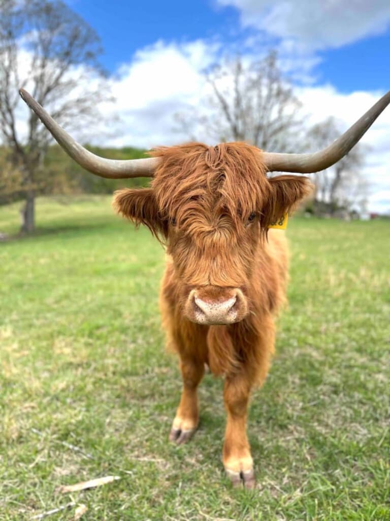 98800 276696 aE6DwojDBgNKR7yAP3mpFfuZGEQPJyp1nRjXNTTTr4M 6657ba7eeae48.jpg