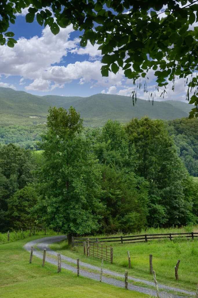 98800 276696 eFyb50Iwuz5tWHhMaiuJvhFJ1T5gft0mY iNueVIh1w 6657ba808ef2e.jpg