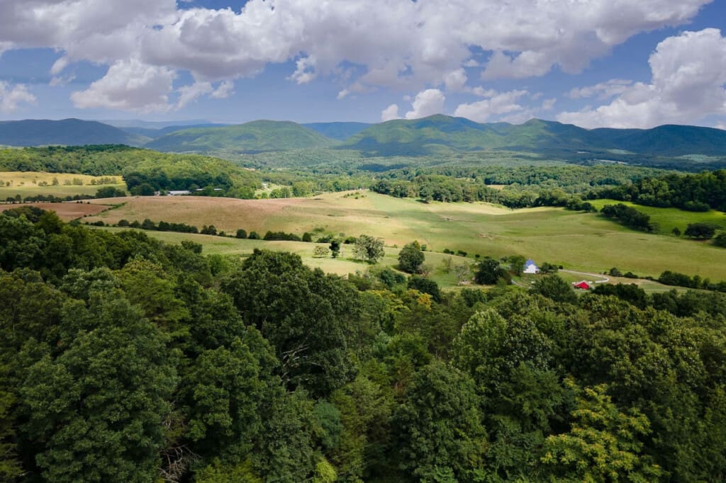 98800 276696 jFXlAKH9skNM2QAX76diG4Qq1nhFRQzW58fnCNIi Tc 66579b51c5a89.jpg