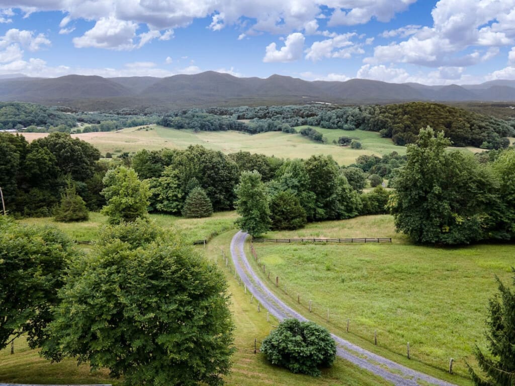 98800 276696 t6OgLomtIwLLCGGrlohl DI3wSurkZD0luKjPK2csm0 66579b4ceb015.jpg