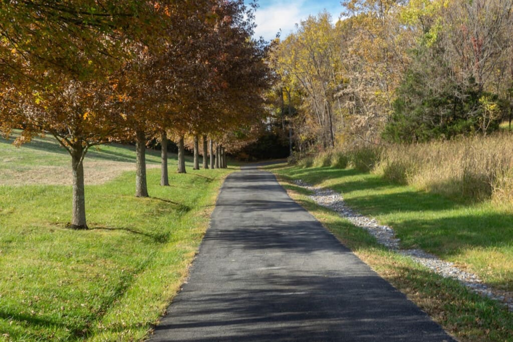 98800 275971 AqQBUmwBsDUtyzfBDxIDPYe mpX KQZvJi LhzQdQZk 66552cbc563b2.jpg