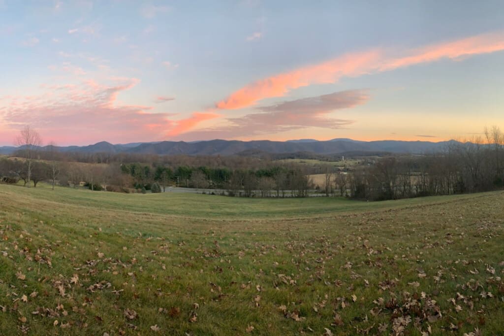 98800 275971 e95Y5tDxjcEG794aWGemo8LEDTOixYoPU5NVxC073qk 6654f0442c4fc.jpg