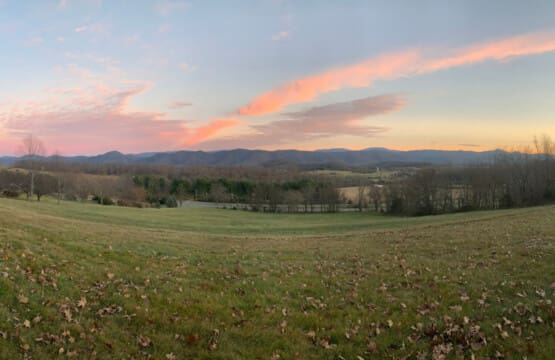 98800 275971 e95Y5tDxjcEG794aWGemo8LEDTOixYoPU5NVxC073qk 6654f0442c4fc.jpg