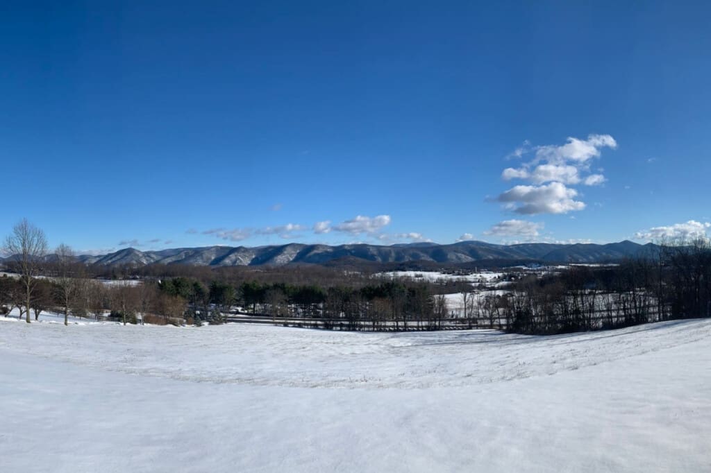 98800 275971 mlalJgXq7XfD q ofIYaNUvmZEpuN9Mv6o2epjc npE 66552c73c3aae.jpg